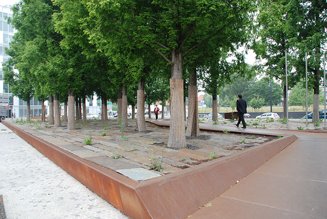 Metasequoia, Arcueil - © G. Carcassès