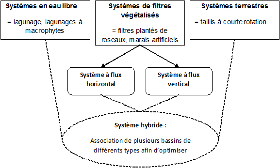 Classification des systèmes extensifs de traitement des effluents : systèmes de phytoépuration