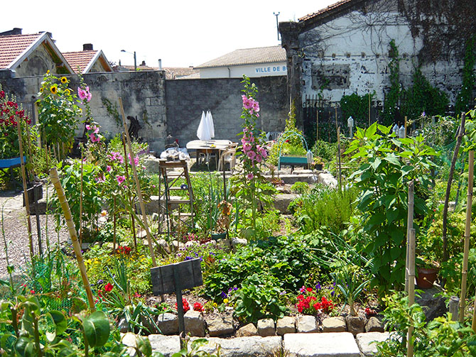 Les jardins partagés, pépinières du mieux vivre ensemble - © E. Prédine