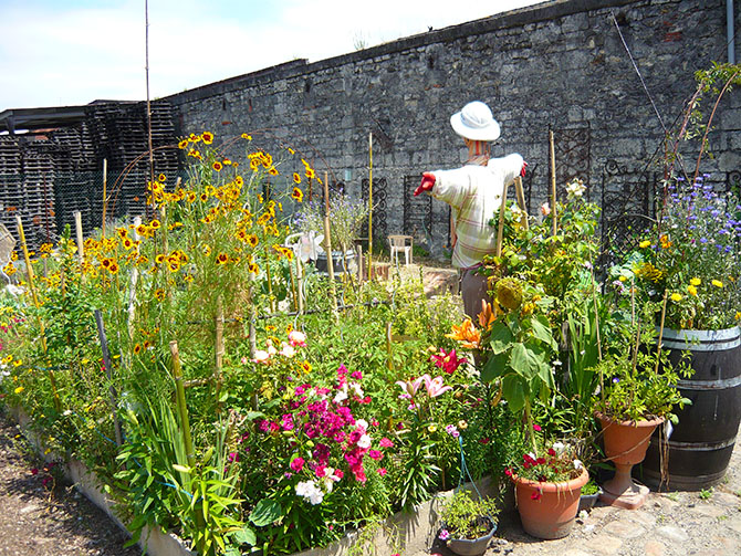 Les jardins partagés, écoles des plaisirs de la terre et de la responsabilité - © E. Prédine