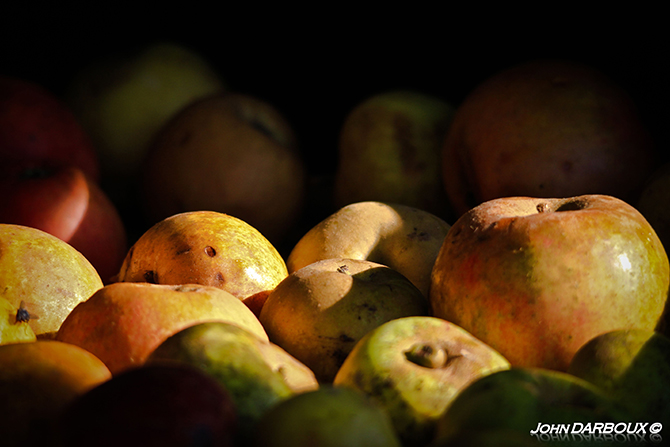 Une fois stockés, les fruits seront surveillés de près - © J. Darboux