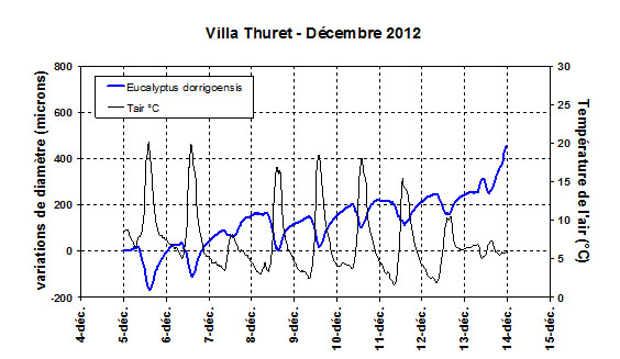 Représentation graphique des enregistrements de variations de diamètres pour des arbres de la Villa Thuret