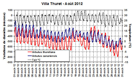 Représentation graphique des enregistrements de variations de diamètres et température pour deux arbousiers