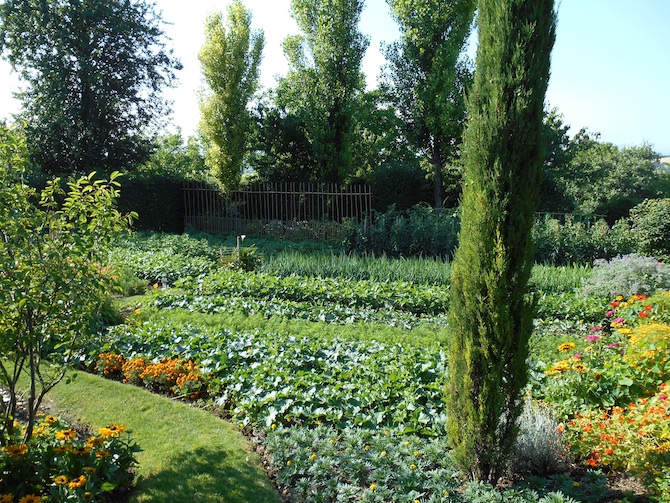 Un potager d’ornement de 208 m² qui combine légumes, fleurs et fruitiers - © SNHF