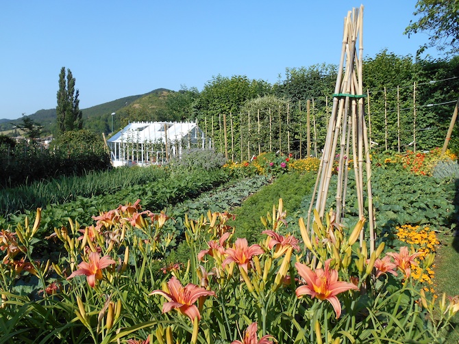 Un jardin qui a obtenu le grand prix du jury du concours national des jardins potagers - © SNHF