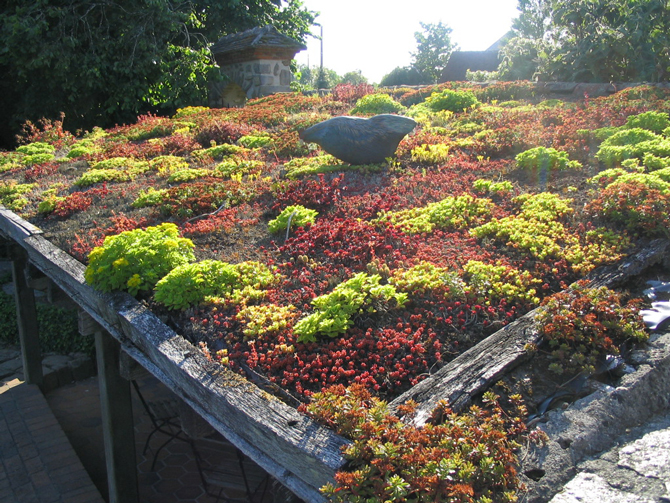 vegetalisation des bâtiments. Jardin-pépinière du Point du Jour - © F. Jarry Astès