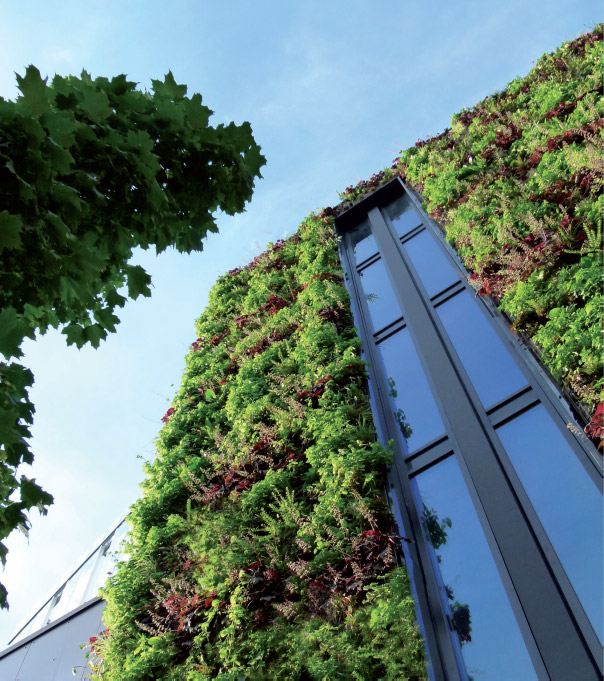 Façade du musée du quai Branly à Paris conçue par Patrick Blanc - © couverture du « Guide des bonnes pratiques des enveloppes végétalisées du bâti »