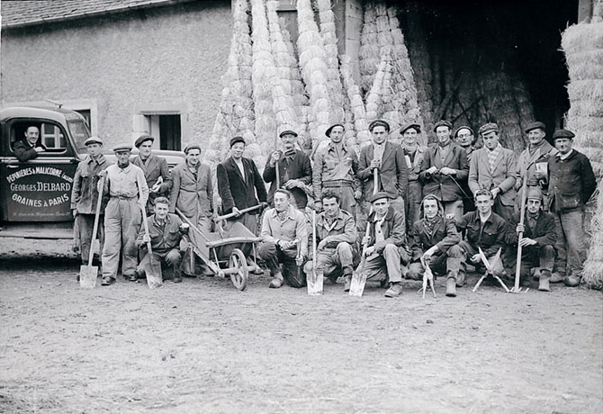 L’équipe d’arrachage photographiée à Malicorne dans les années 50 - © JF. Coffin