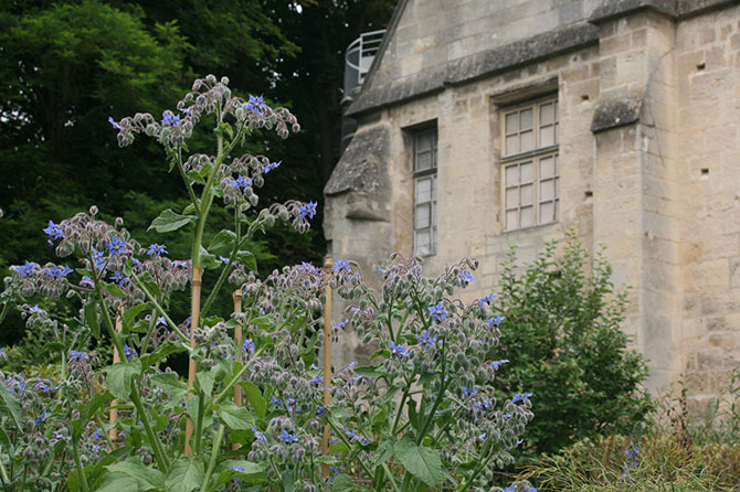 jardin des neufs carrés à l’abbaye de Royaumont. © J.-F. Coffin