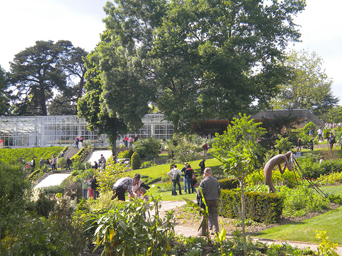 Les aromatiques et médicinales jouent aussi un rôle décoratif. Ici, le parc Camifolia - © P. Gicquiaud