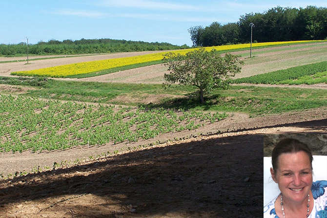 Nadine Leduc et son exploitation de PPAM bio dans le Morvan – © D.R.