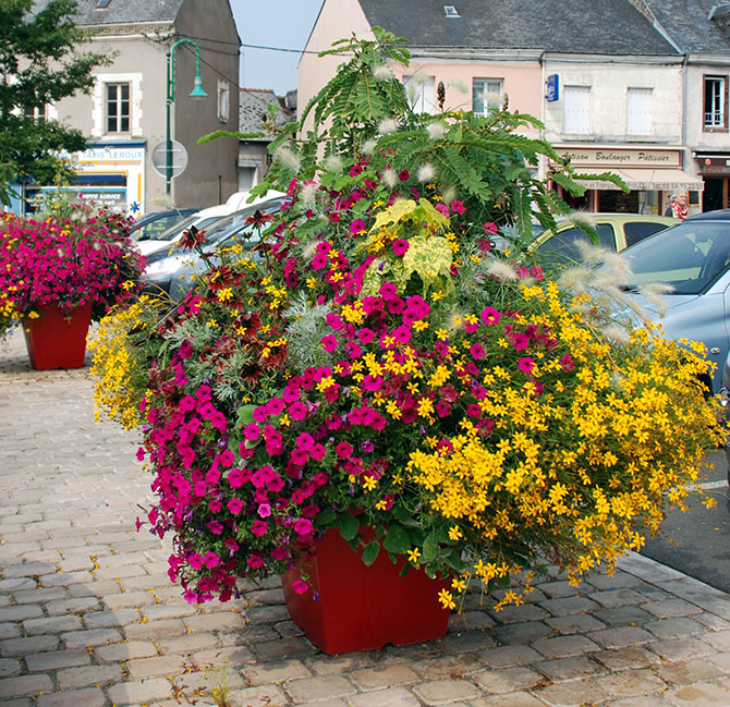 Conseils, mise en place d’un jardin ou, comme ici, des décors prêts à poser : l’entreprise Simier offre une palette de services à ses clients - © T. Simier