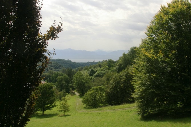 La forêt est très concernée par le changement climatique. Photo : Arboretum du Vallon d’Aubonne (Suisse) - © J.-F. Coffin
