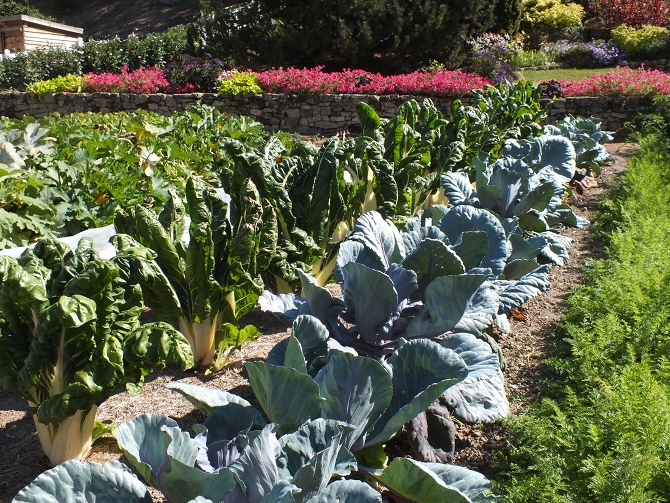 Un beau potager peut être obtenu par des pratiques naturelles - © Les jardins du Gué