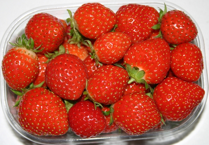 La fraise, espèce à gros fruits dont on améliore chaque année les performances. Ici, une barquette de ‘Mara des bois’ - © CTIFL