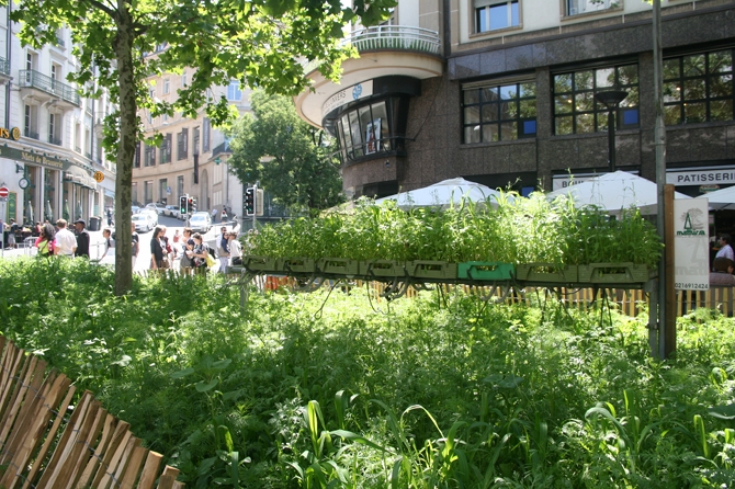 « Contextes », une prairie éphémère et diversifiée, « le temps d'un passage à Lausanne », un des jardins de Landing 2014 - © J.-F. Coffin